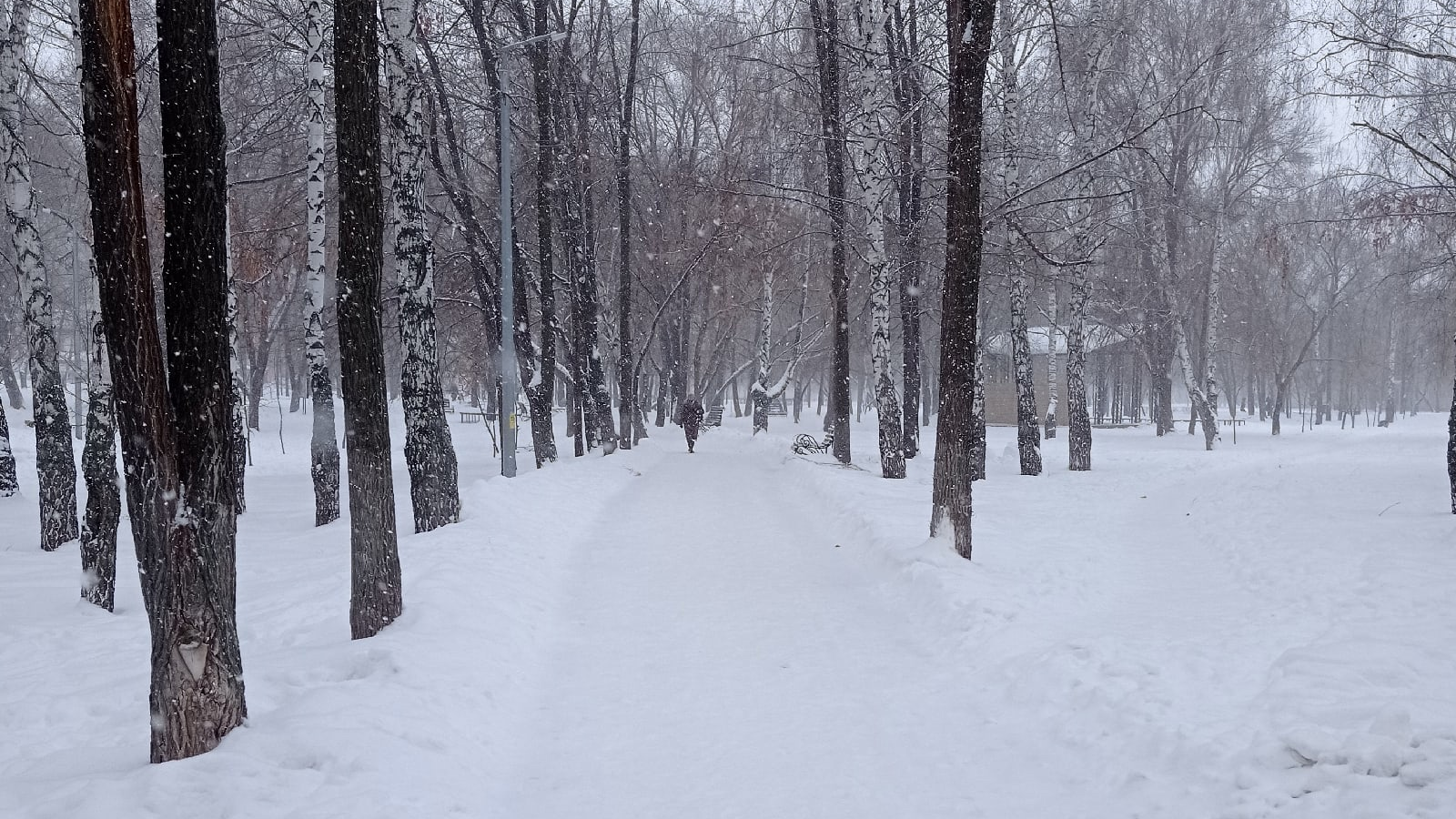 В ночь на 24 февраля ударит мороз до -30°С в Ульяновской области
