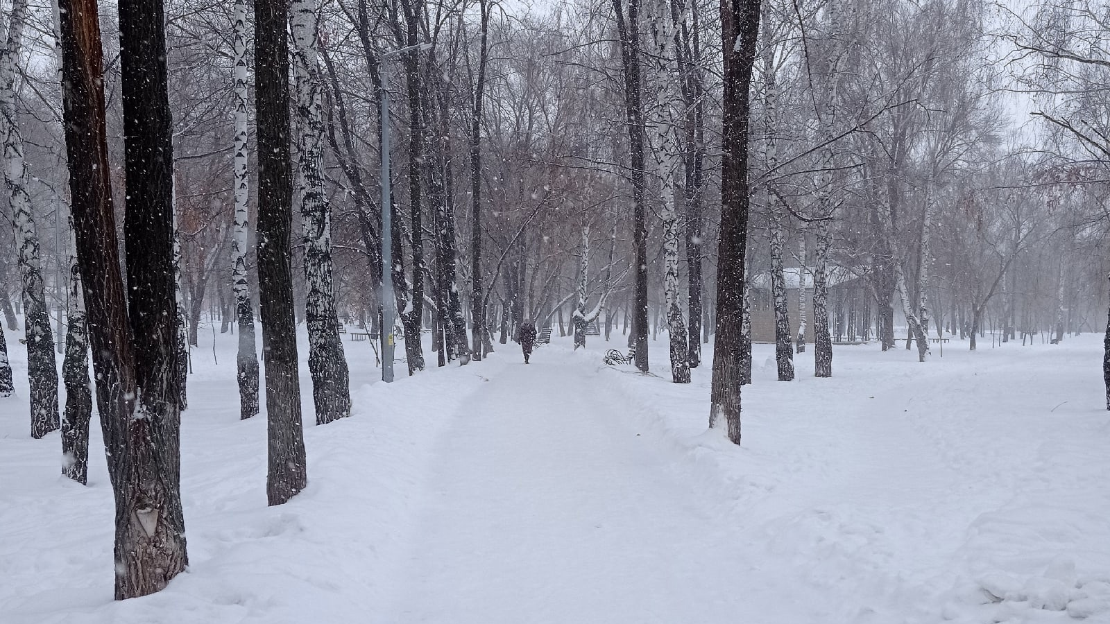 Совсем скоро в Ульяновской области снова пойдет снег: названа точная дата