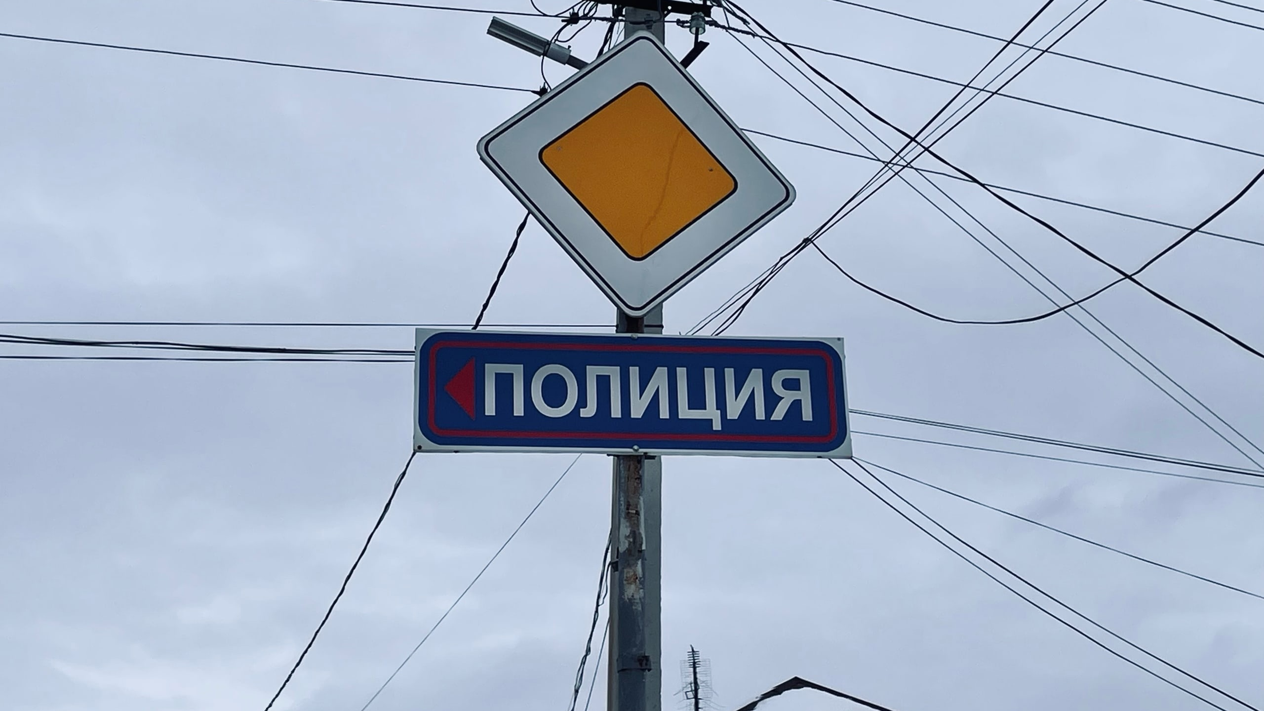 В Ульяновской области полиция выявила более 40 нелегалов