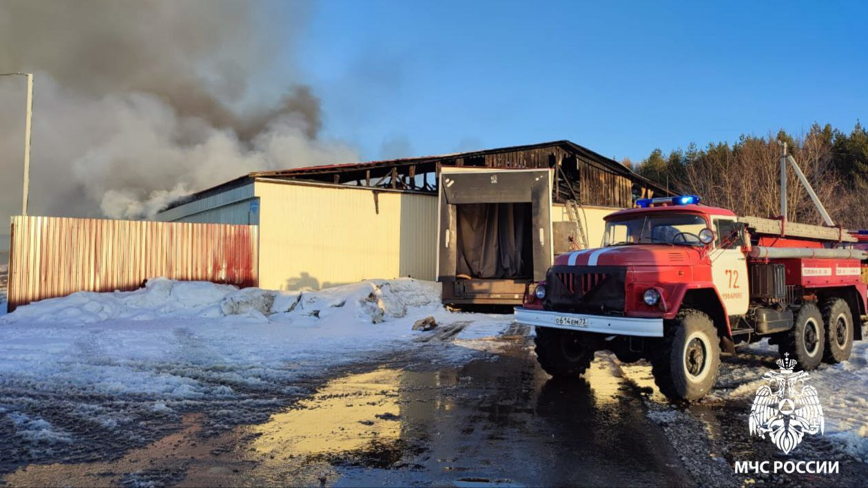 Стали известны новые подробности пожара на Вешкаймской птицефабрике