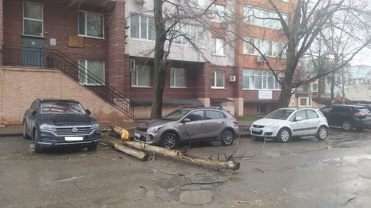 Сухое дерево упало на припаркованную машину на улице Робеспьера в Ульяновске