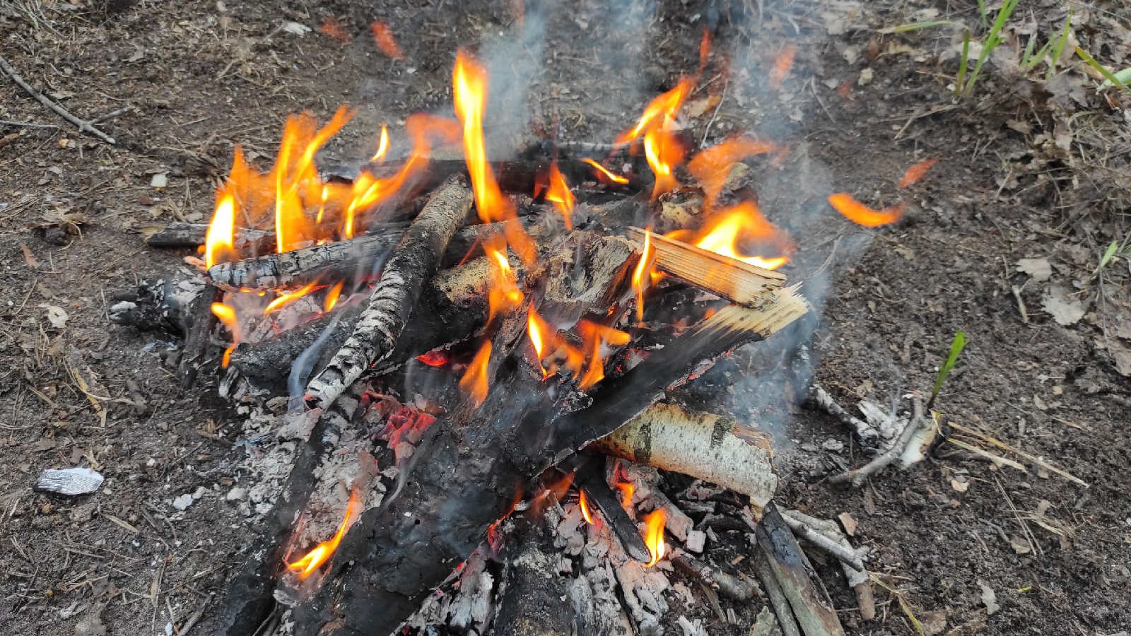 Нарушителей будут привлекать к строгой ответственности: в Ульяновской области ввели пожароопасный режим