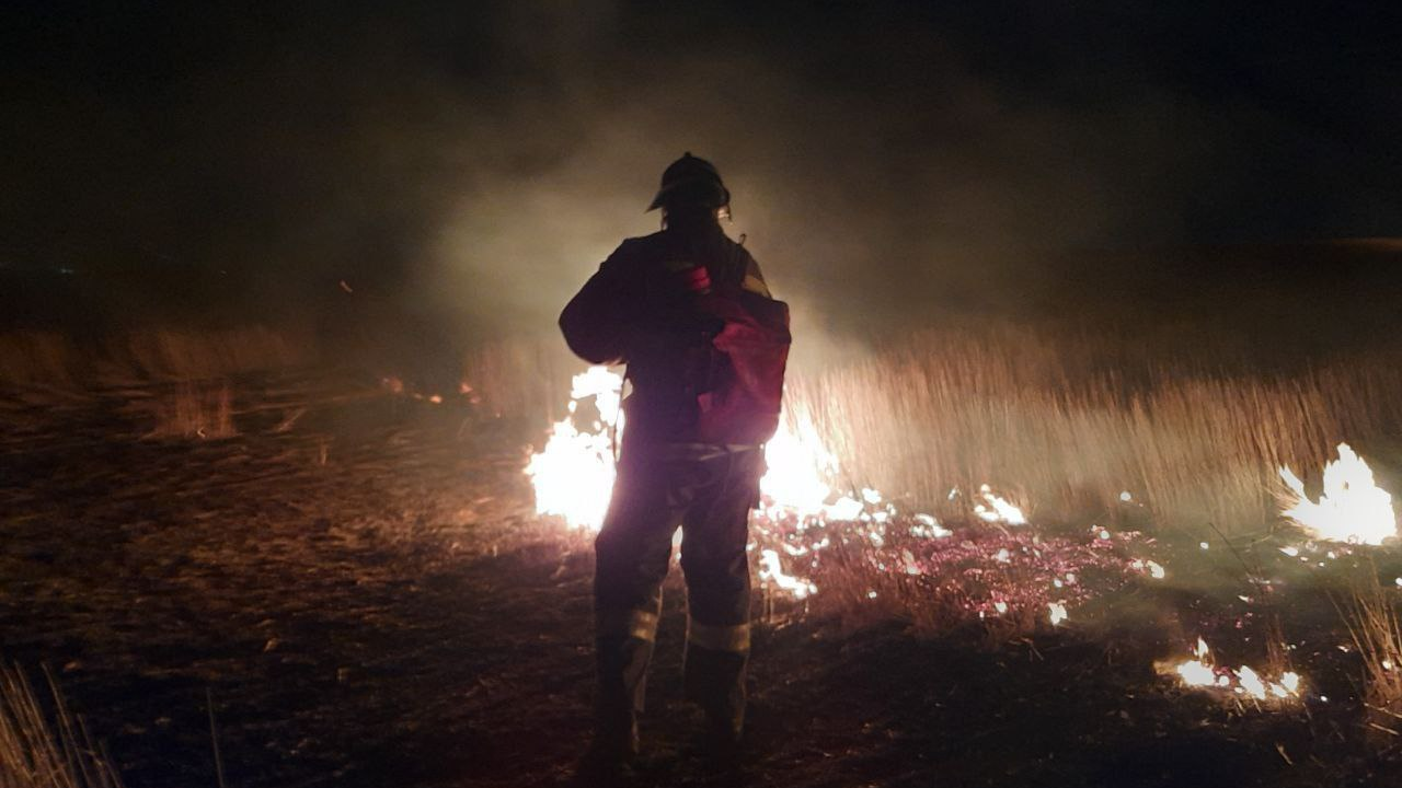 В Ульяновске за сутки ликвидировали 8 ландшафтных пожаров