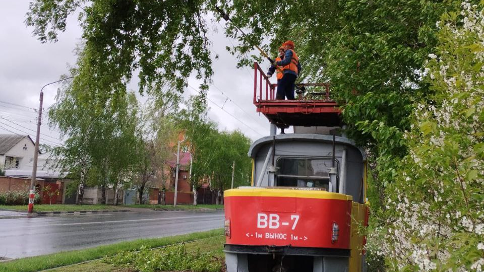 Ветки рухнули на контактную сеть: утром 3 мая из-за непогоды в Ульяновске встали трамваи