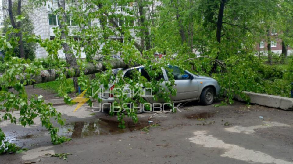 Еще один аварийный тополь упал в Ульяновске на машину
