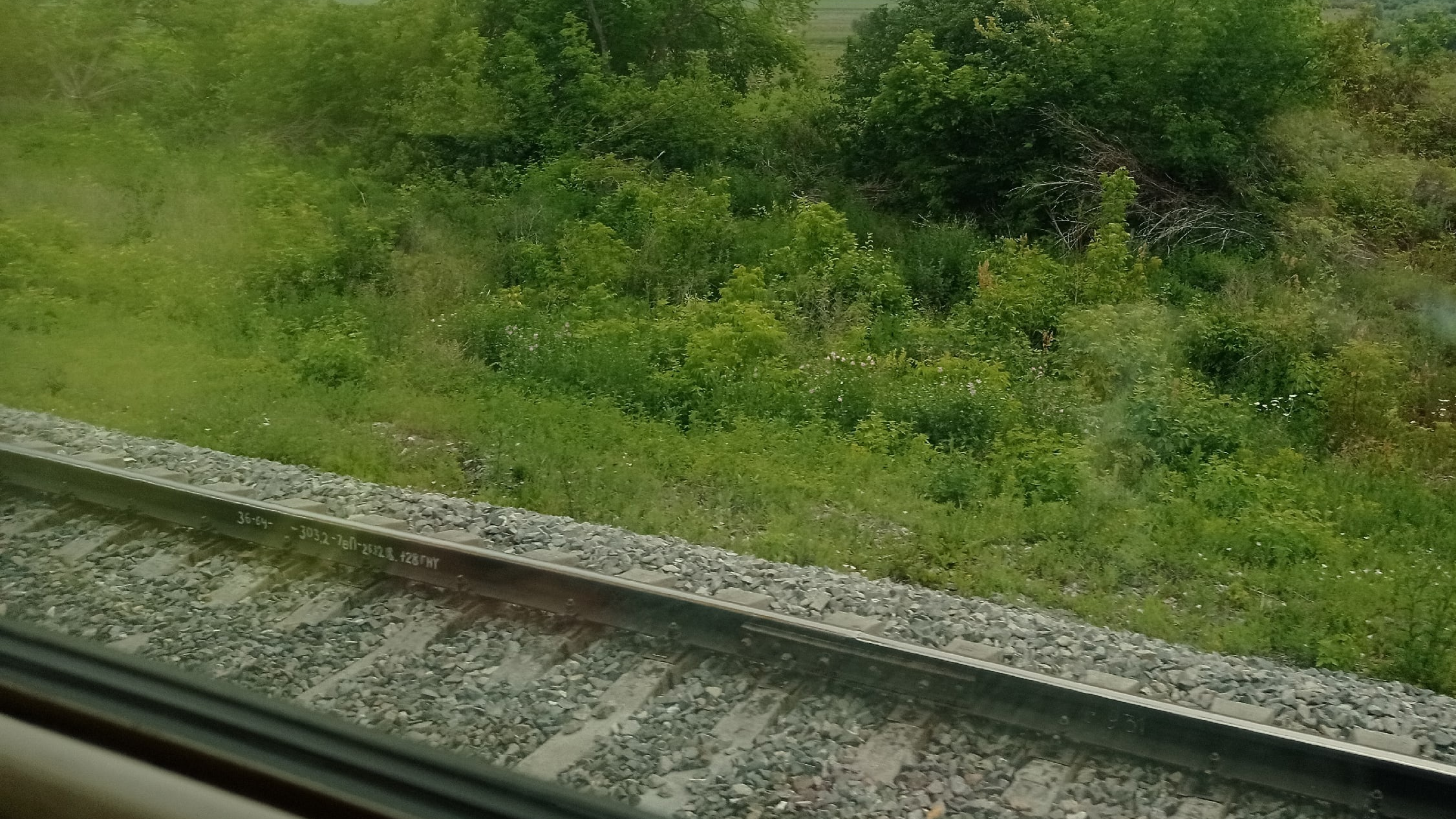 В Ульяновской области поезд сошел с рельсов: следователи проводят проверку