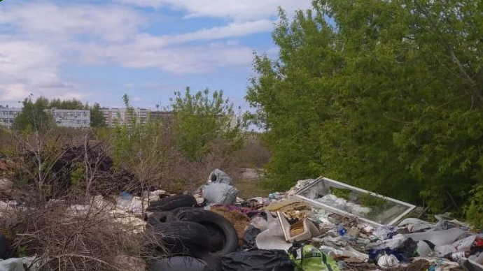 Разыскиваются незаконные свалки: ульяновцев просят сообщать о скоплениях мусора