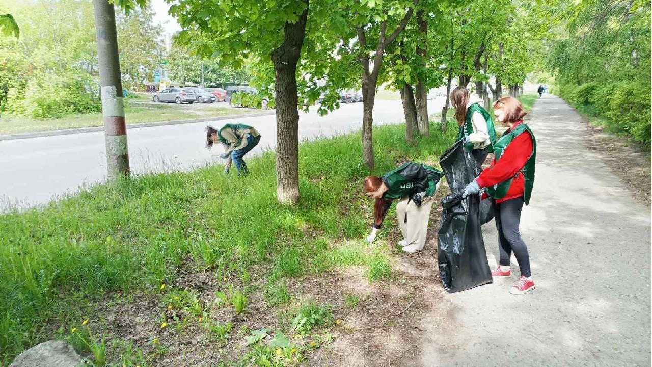 Собрали 527 кубометров мусора: подвели итоги санитарной пятницы в Ульяновске