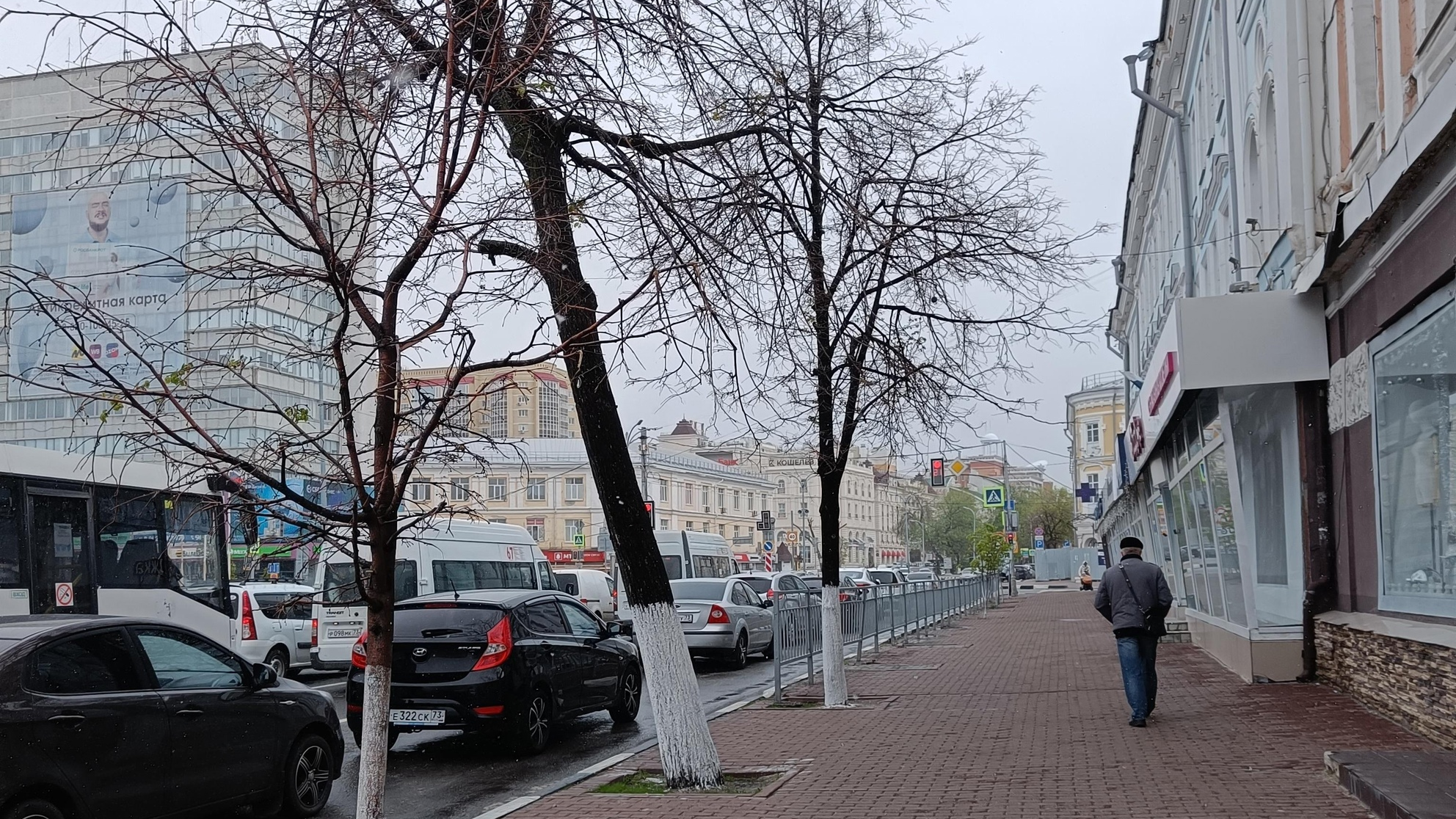 В центре Ульяновска планируется снос деревьев