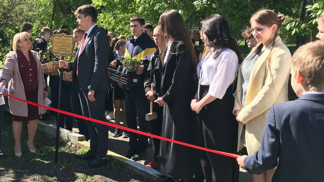 Аллея роз появилась во дворе одной школы Ульяновска