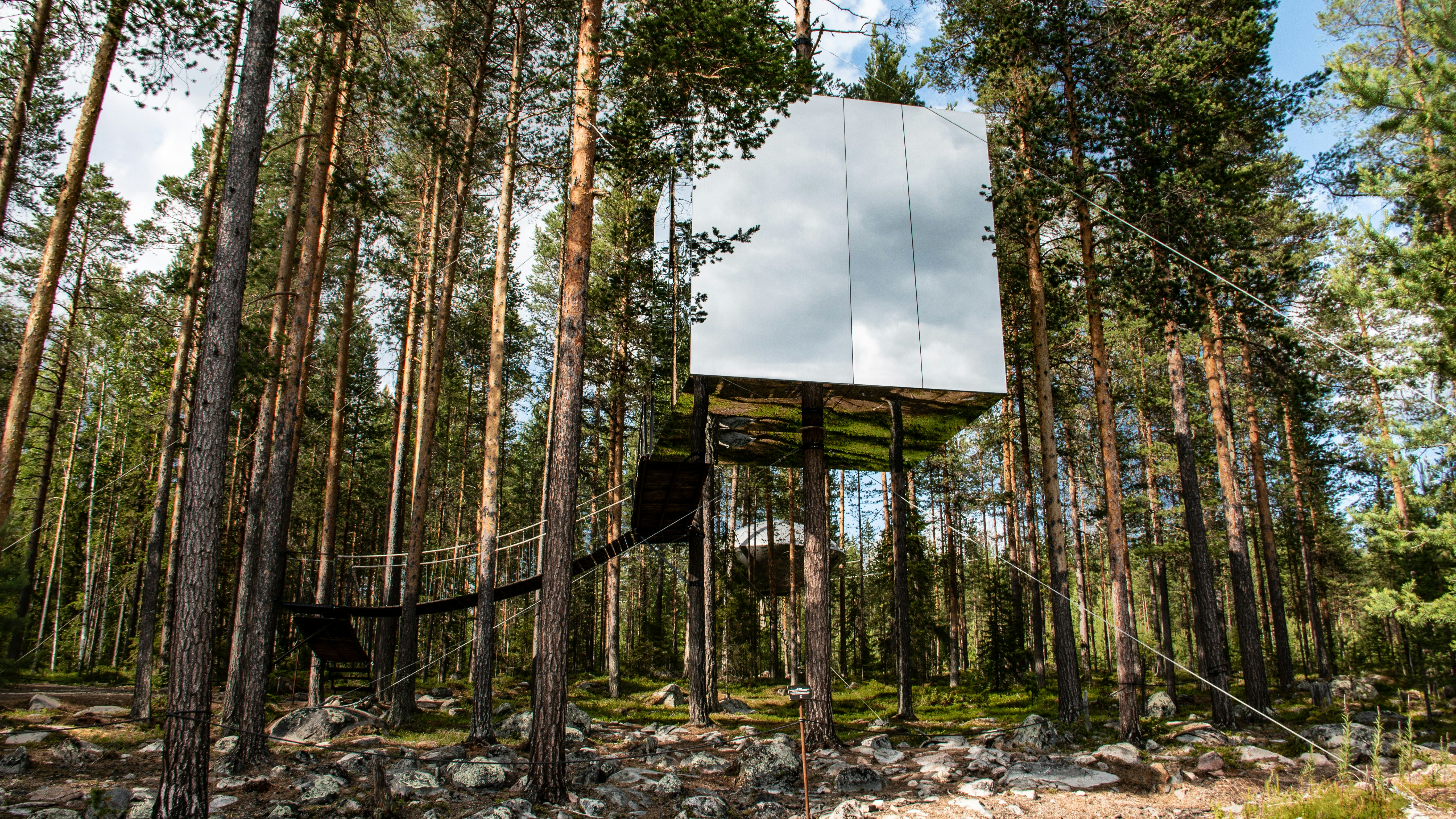Россияне могут нарваться на штраф за строительство дома на дереве