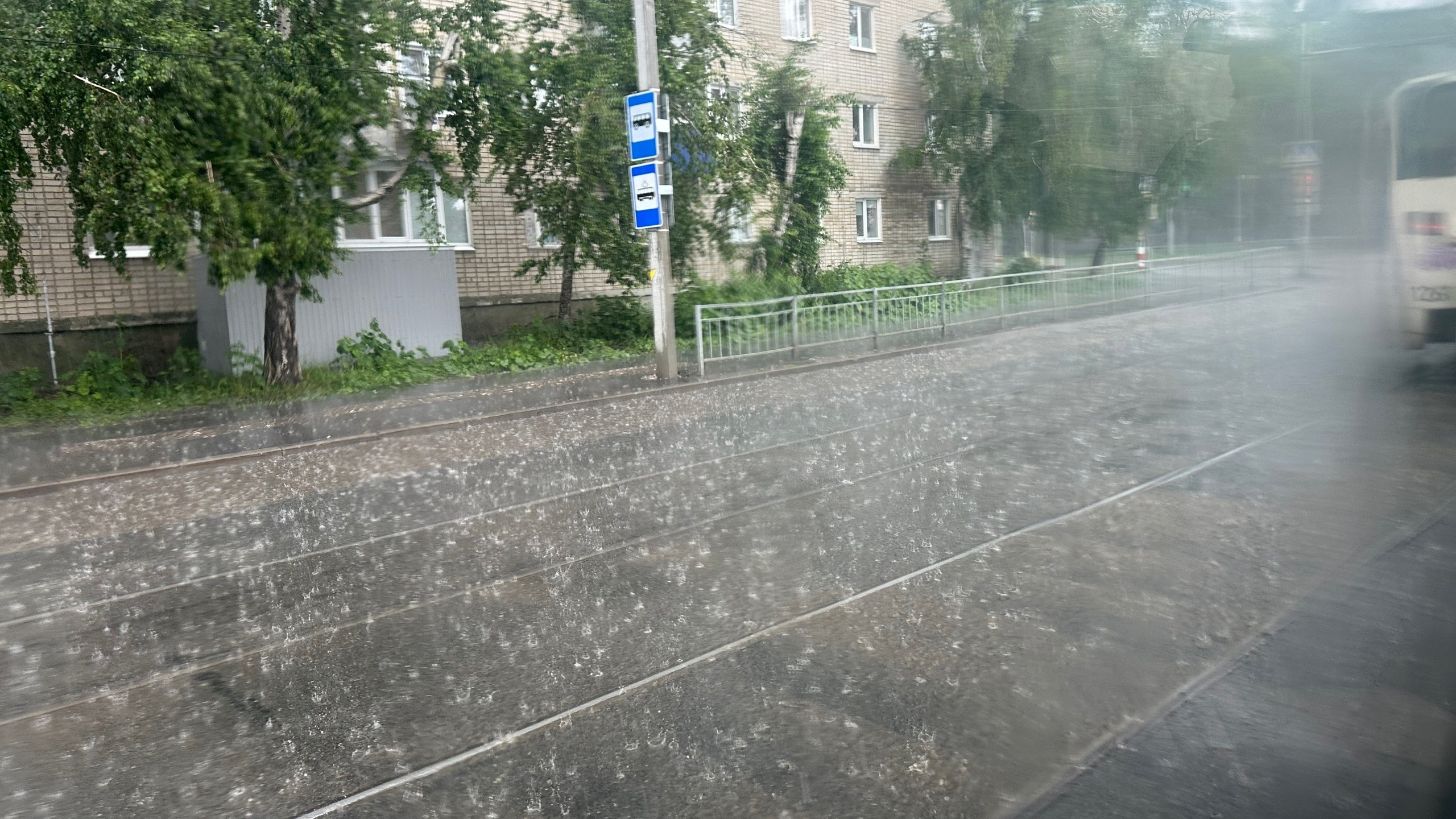 Предупреждение от МЧС: вечером 17 июня Ульяновскую область накроет гроза и ливень