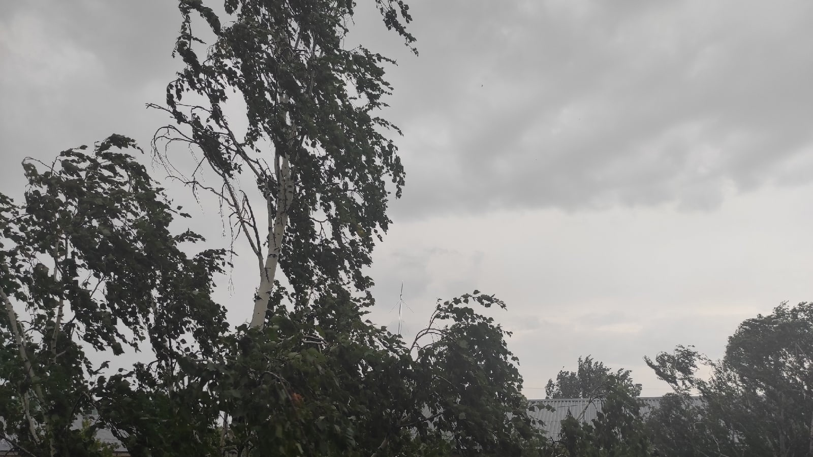 Ураганный ветер и непогода снова накроют Ульяновскую область: предупреждение от МЧС 