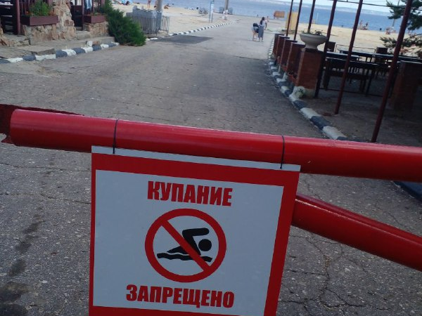 Результаты проб воды из Волги в районе Центрального пляжа Ульяновска должны быть готовы до 25 июня