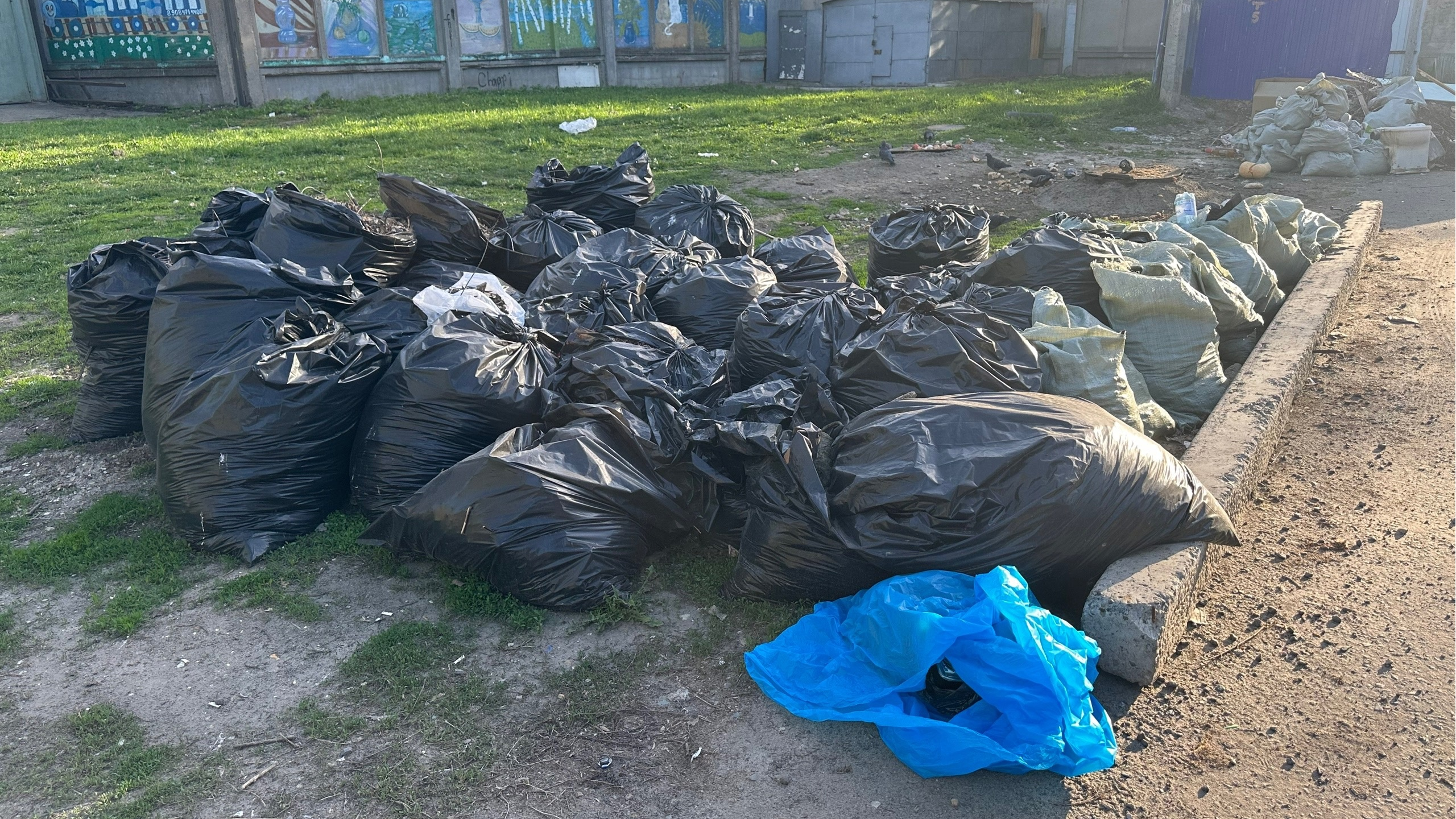 Из Ульяновска вывезли 42 тысячи кубометров мусора