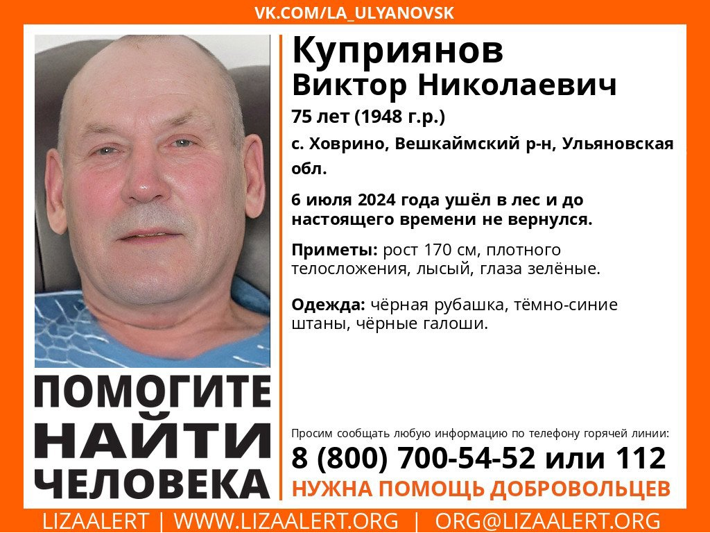 В Ульяновской области пропал 75-летний лысый мужчина