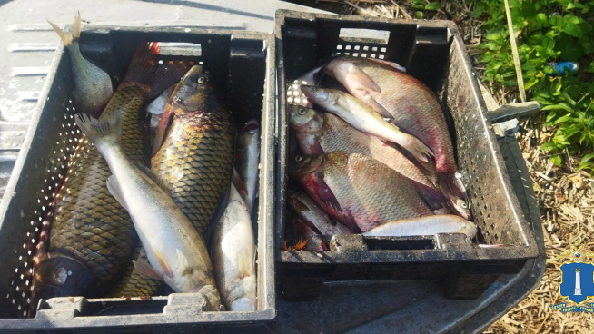 Жителю Ульяновской области грозит уголовка за рыбалку на лещей и окуней  