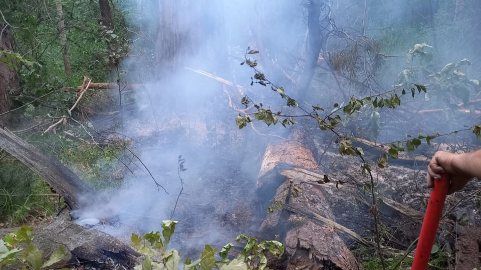 В лесах Ульяновской области случилось два пожара из-за сухой грозы 