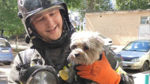 В Заволжье Ульяновска пожарные спасли маленькую собаку из огня 