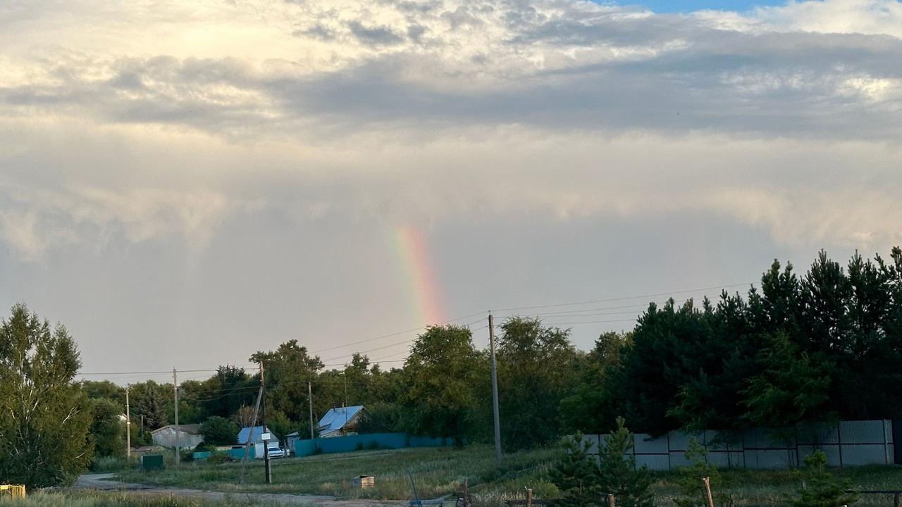 Дождь не отступит: синоптики поделились подробным прогнозом погоды в Ульяновской области