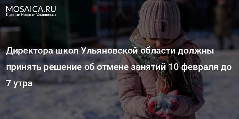 Отмена занятий ульяновск. Отмена занятий в школах Ульяновска 24 декабря.