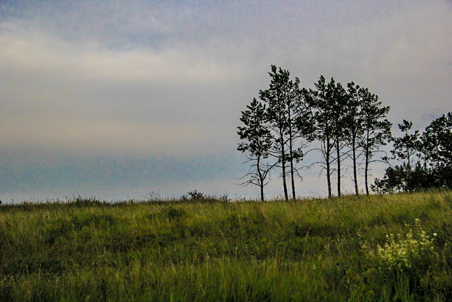 Издали были видны. Криушинский Волгоградская область. Криушинский залив картинка для детей. Фото за Волгой в Чебоксарах в хмурую погоду в мае.